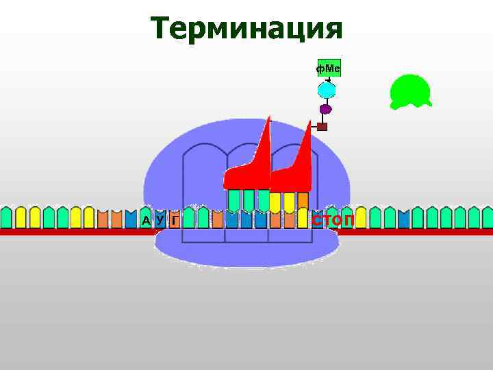 Терминация ф. Ме т А У Г стоп 