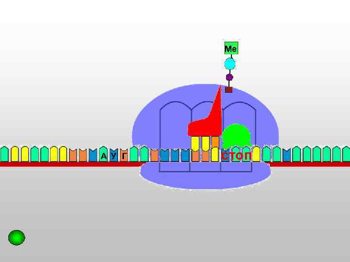 Ме т А У Г стоп 