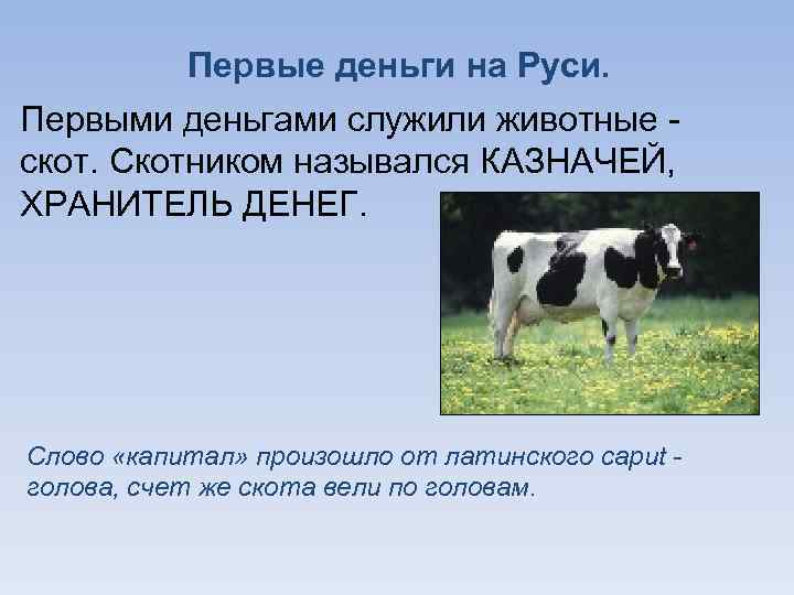 Первые деньги на Руси. Первыми деньгами служили животные скот. Скотником назывался КАЗНАЧЕЙ, ХРАНИТЕЛЬ ДЕНЕГ.