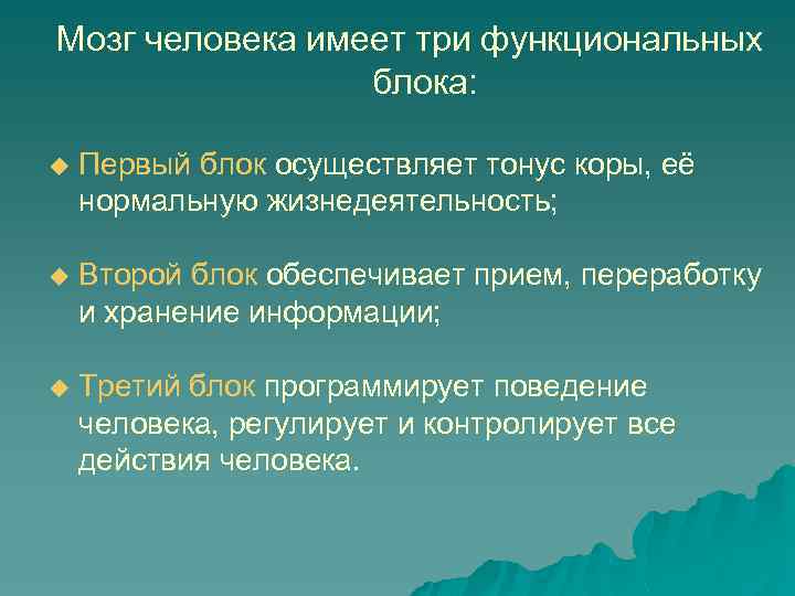 Мозг человека имеет три функциональных блока: u Первый блок осуществляет тонус коры, её нормальную