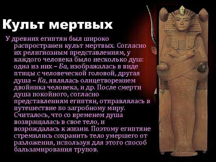 Культ мертвых египет