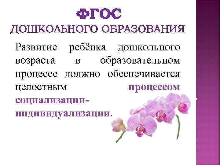 ФГОС ДОШКОЛЬНОГО ОБРАЗОВАНИЯ Развитие ребёнка дошкольного возраста в образовательном процессе должно обеспечивается целостным процессом