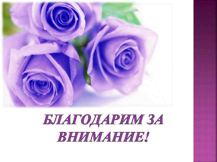 БЛАГОДАРИМ ЗА ВНИМАНИЕ! 