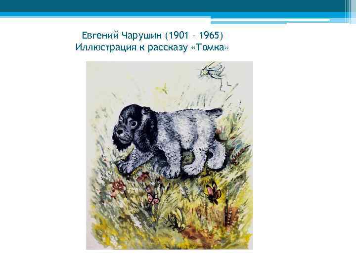 Евгений Чарушин (1901 – 1965) Иллюстрация к рассказу «Томка» 