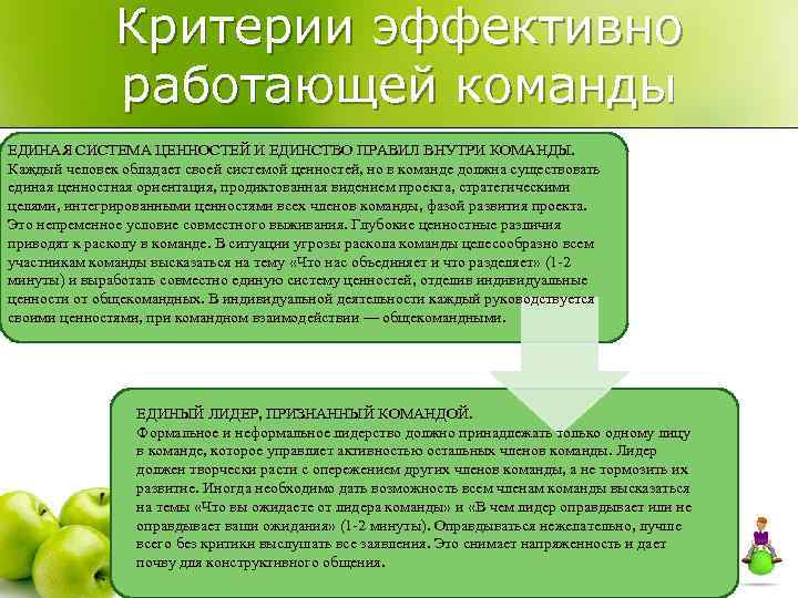 Критерии эффективно работающей команды ЕДИНАЯ СИСТЕМА ЦЕННОСТЕЙ И ЕДИНСТВО ПРАВИЛ ВНУТРИ КОМАНДЫ. Каждый человек