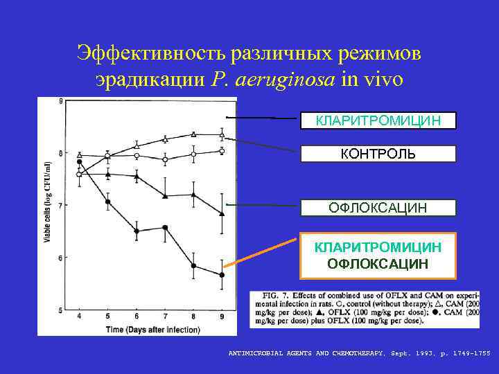 Эффективность различных режимов эрадикации P. aeruginosa in vivo КЛАРИТРОМИЦИН КОНТРОЛЬ ОФЛОКСАЦИН КЛАРИТРОМИЦИН ОФЛОКСАЦИН ANTIMICROBIAL