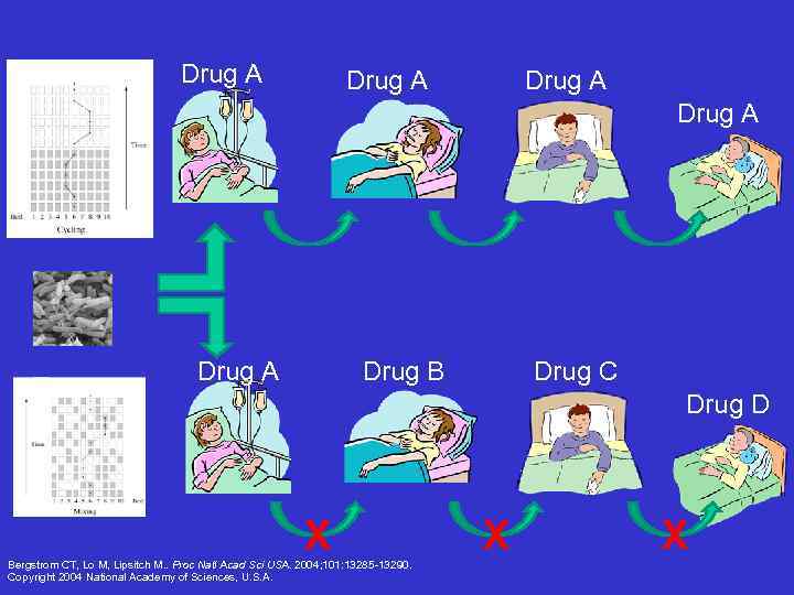 Drug A Drug A Drug B Drug C Drug D X Bergstrom CT, Lo
