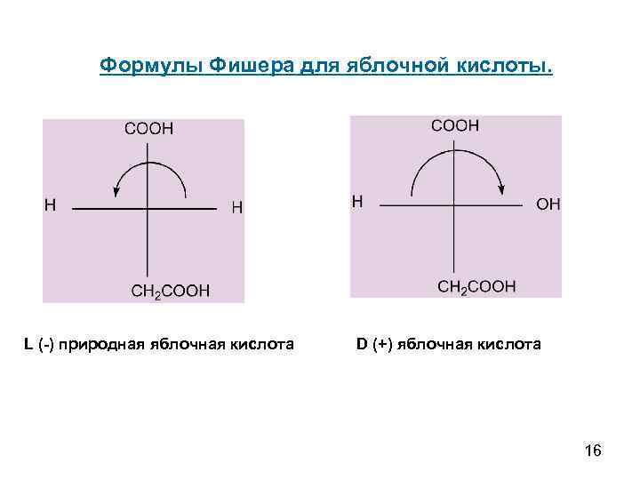 Формулы Фишера для яблочной кислоты. L (-) природная яблочная кислота D (+) яблочная кислота