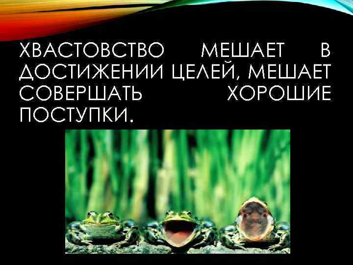 ХВАСТОВСТВО МЕШАЕТ В ДОСТИЖЕНИИ ЦЕЛЕЙ, МЕШАЕТ СОВЕРШАТЬ ХОРОШИЕ ПОСТУПКИ. 