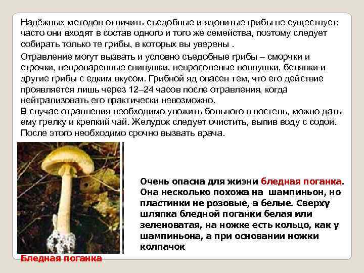 Надёжных методов отличить съедобные и ядовитые грибы не существует; часто они входят в состав