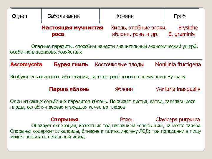 Отдел Заболевание Хозяин Настоящая мучнистая роса Гриб Хмель, хлебные злаки, Erysiphe яблони, розы и