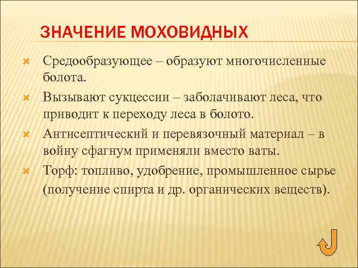 ЗНАЧЕНИЕ МОХОВИДНЫХ Средообразующее – образуют многочисленные болота. Вызывают сукцессии – заболачивают леса, что приводит