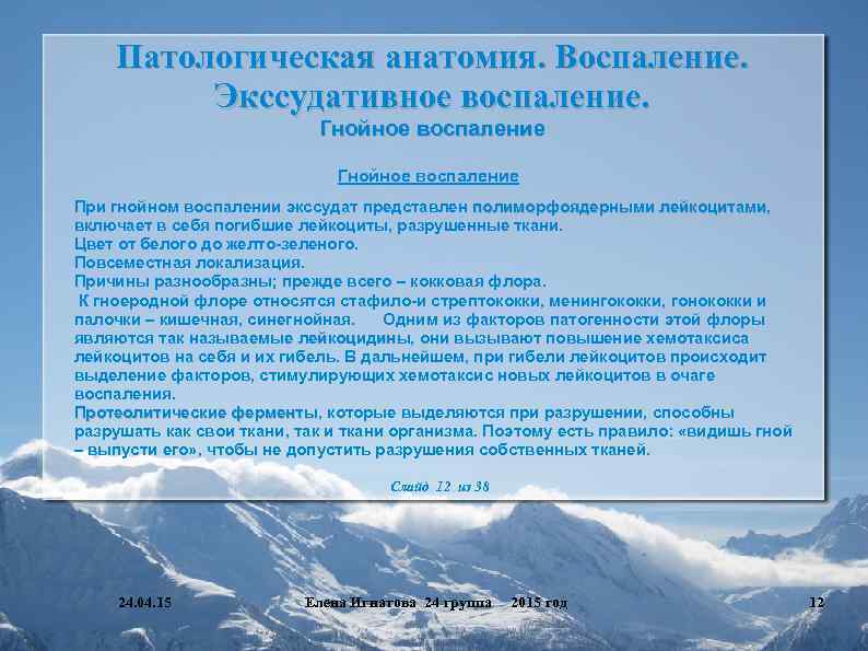 Патологическая анатомия. Воспаление. Экссудативное воспаление. Гнойное воспаление При гнойном воспалении экссудат представлен полиморфоядерными лейкоцитами,