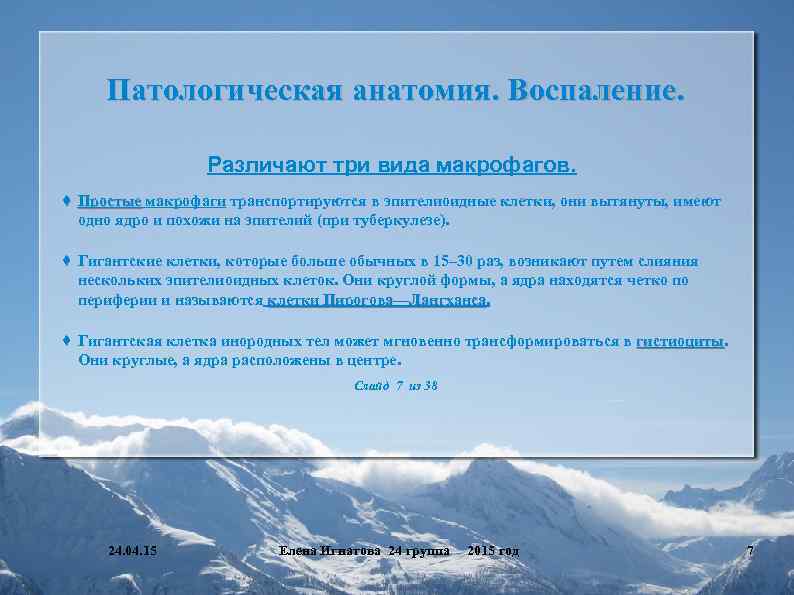 Патологическая анатомия. Воспаление. Различают три вида макрофагов. ♦ Простые макрофаги транспортируются в эпителиоидные клетки,