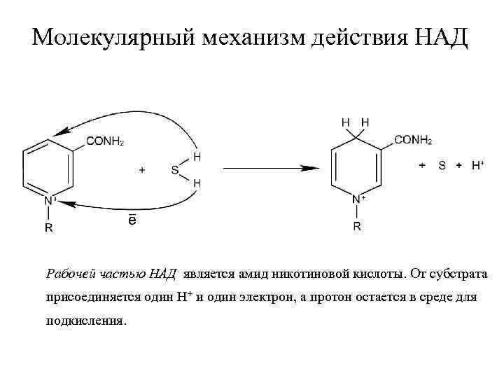 Над частью