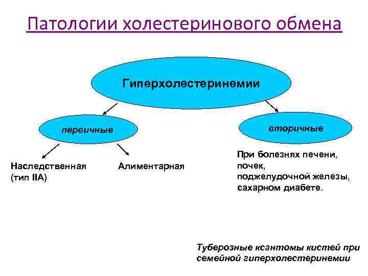Патологии холестеринового обмена Гиперхолестеринемии вторичные первичные Наследственная (тип IIA) Алиментарная При болезнях печени, почек,