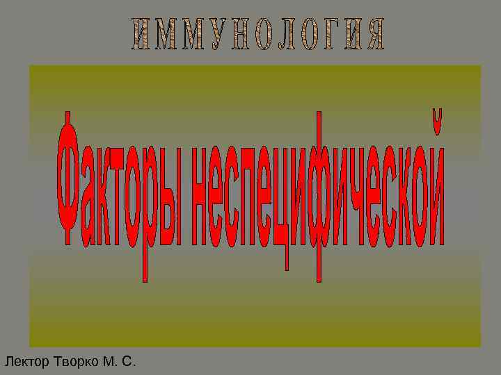 Лектор Творко М. С. 