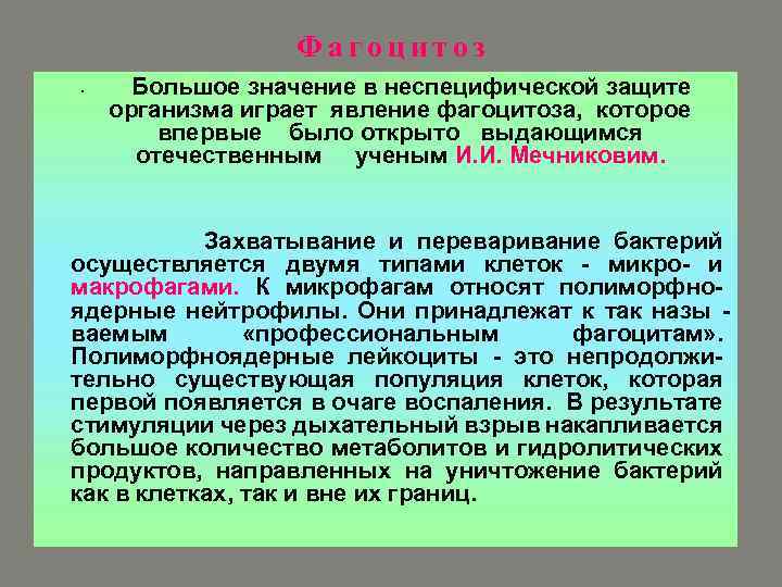 Фагоцитоз • Большое значение в неспецифической защите организма играет явление фагоцитоза, которое впервые было