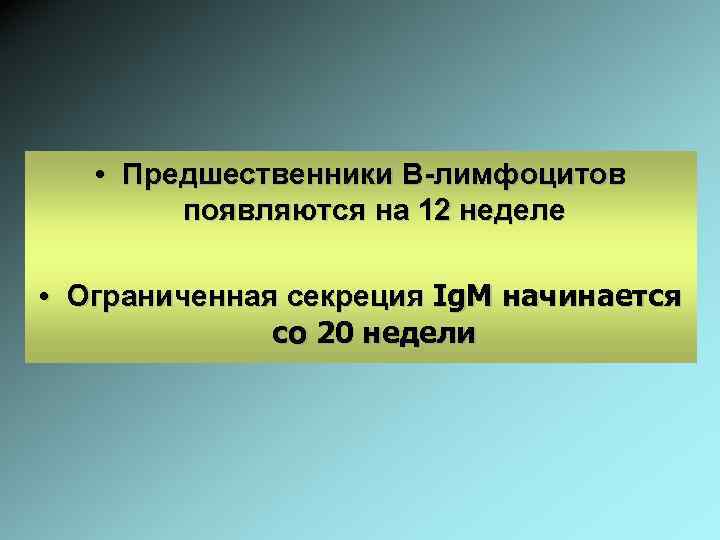  • Предшественники В-лимфоцитов появляются на 12 неделе • Ограниченная секреция Ig. M начинается