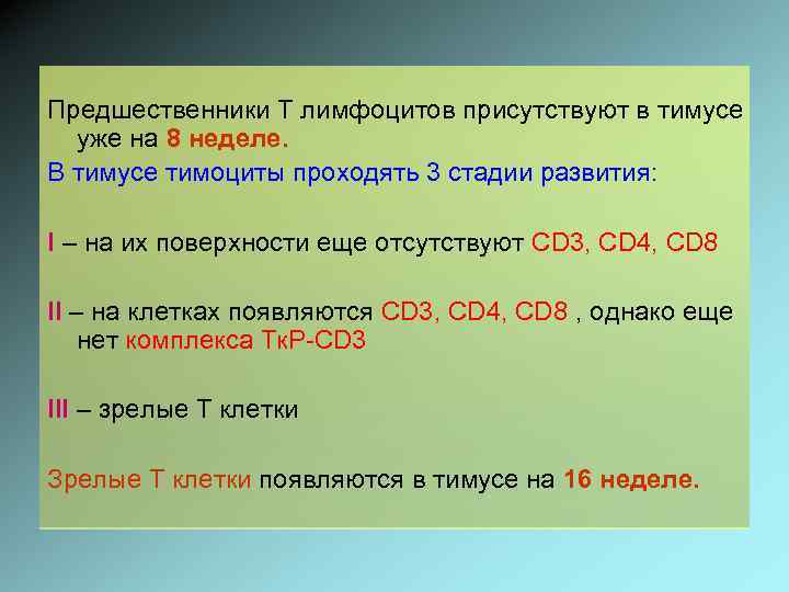 Предшественники Т лимфоцитов присутствуют в тимусе уже на 8 неделе. В тимусе тимоциты проходять