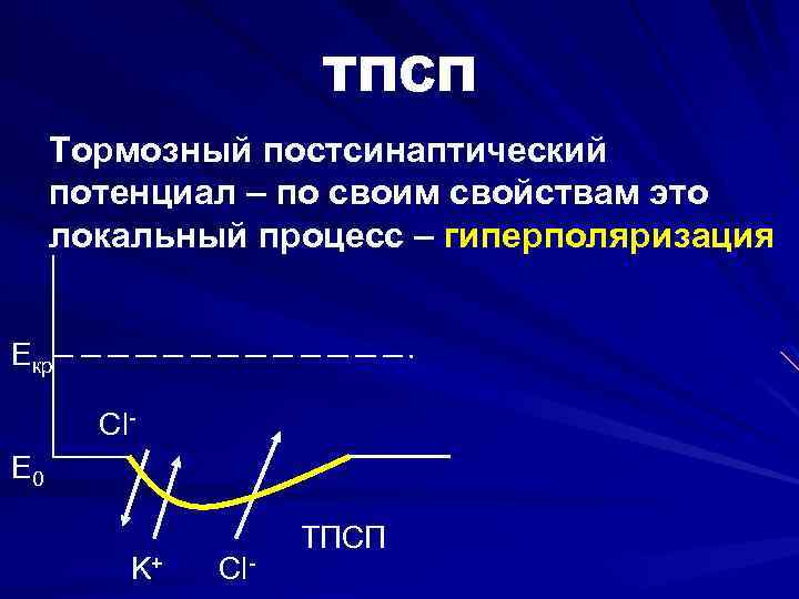 Локальный процесс. ТПСП. Тормозной постсинаптический потенциал. ТПСП физиология. ТПСП гиперполяризация.