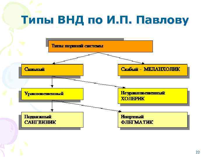 Типы внд по павлову презентация