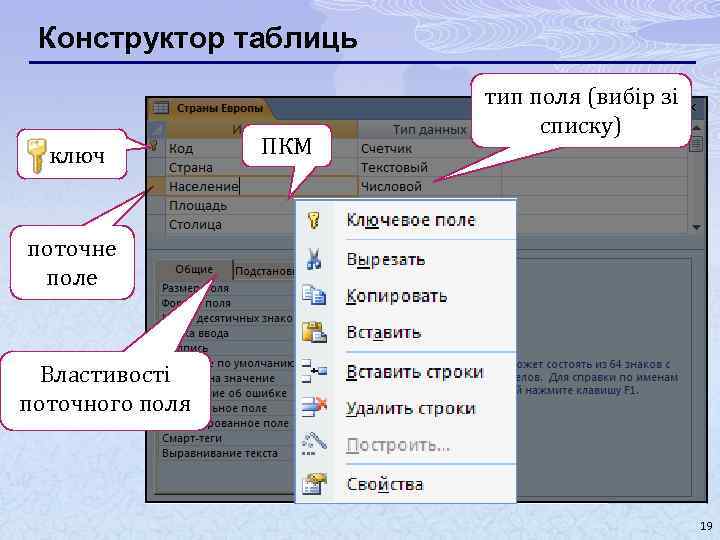 Поле type. Поля и строки базы данных. Ключевые атрибуты базы данных. Типы полей в базе данных. Поле Интерфейс базы данных.