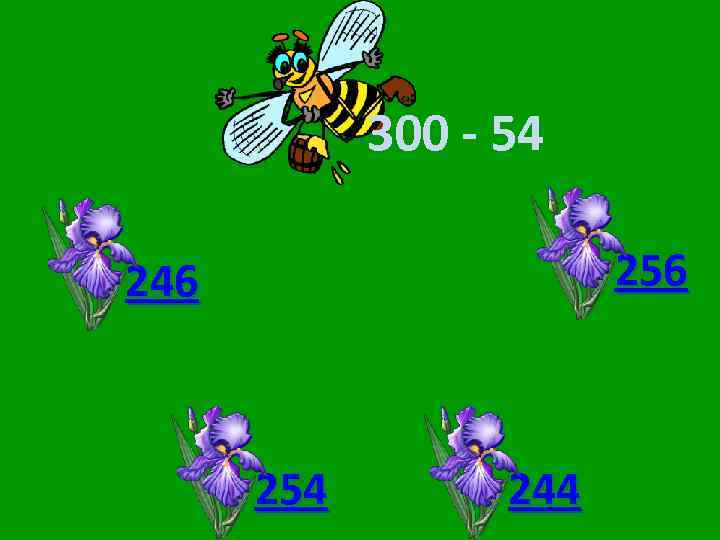 300 - 54 256 246 254 244 