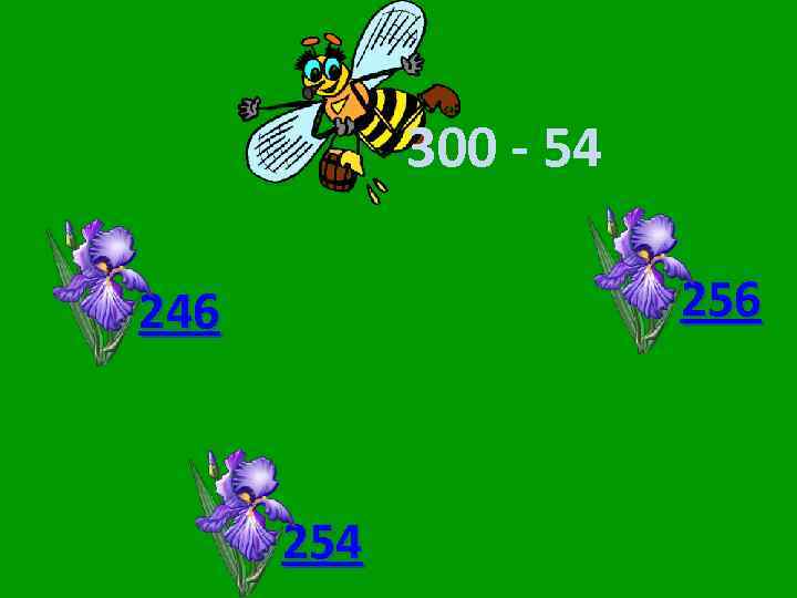 300 - 54 256 246 254 