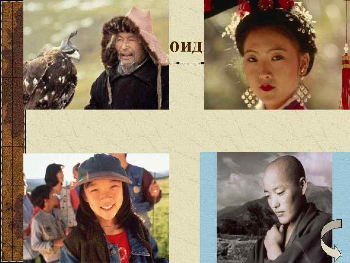 Монголоидная раса 