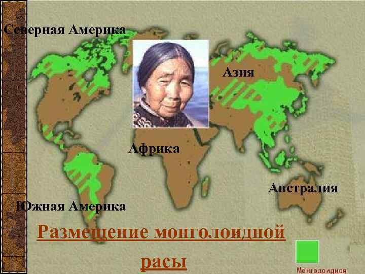 Северная Америка Азия Африка Австралия Южная Америка Размещение монголоидной расы 