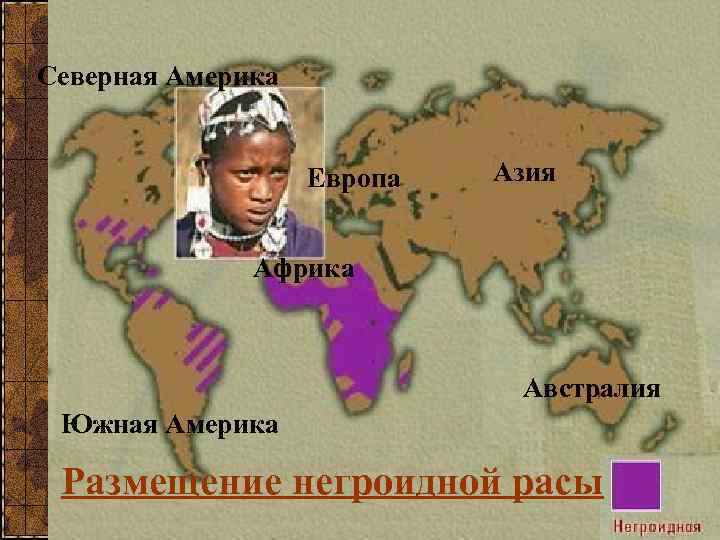Северная Америка Европа Азия Африка Австралия Южная Америка Размещение негроидной расы 
