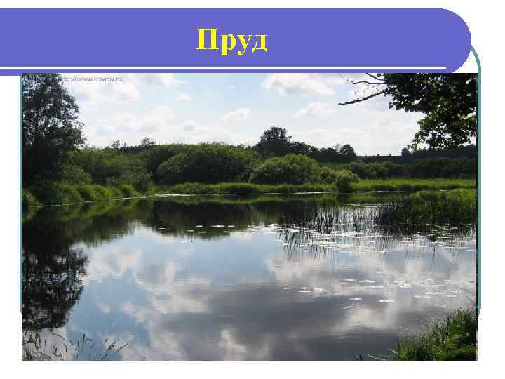 Пруд 