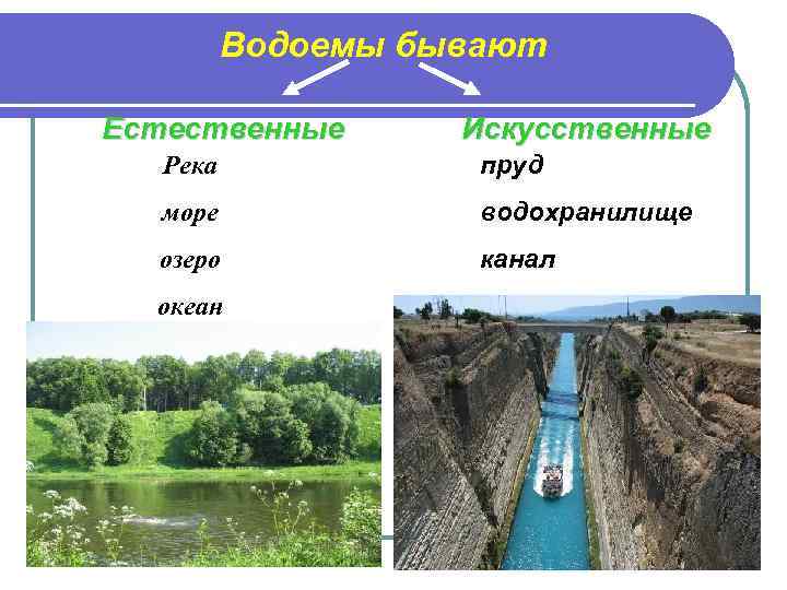 Водоемы бывают Естественные Искусственные Река пруд море водохранилище озеро канал океан 