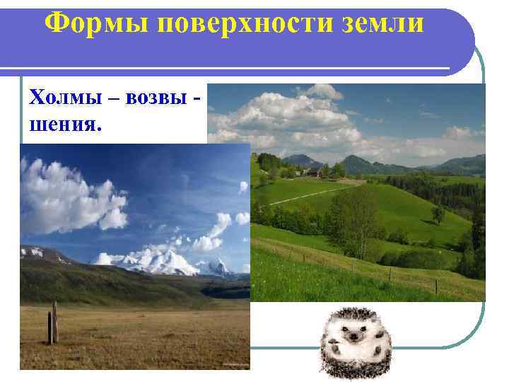Формы поверхности земли Холмы – возвы шения. 