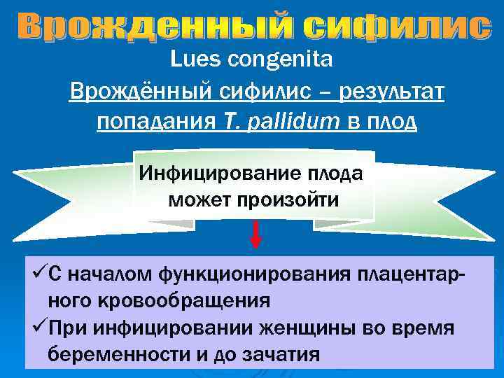 Lues congenita Врождённый сифилис – результат попадания T. pallidum в плод Инфицирование плода может