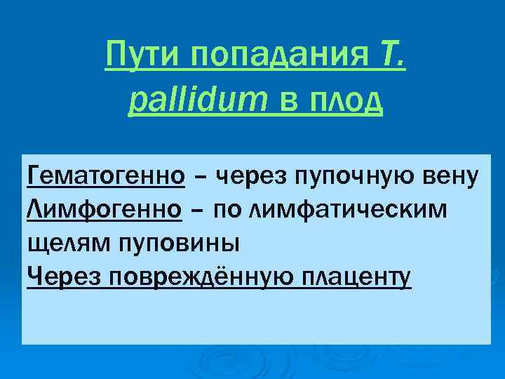 Пути попадания T. pallidum в плод Гематогенно – через пупочную вену Лимфогенно – по