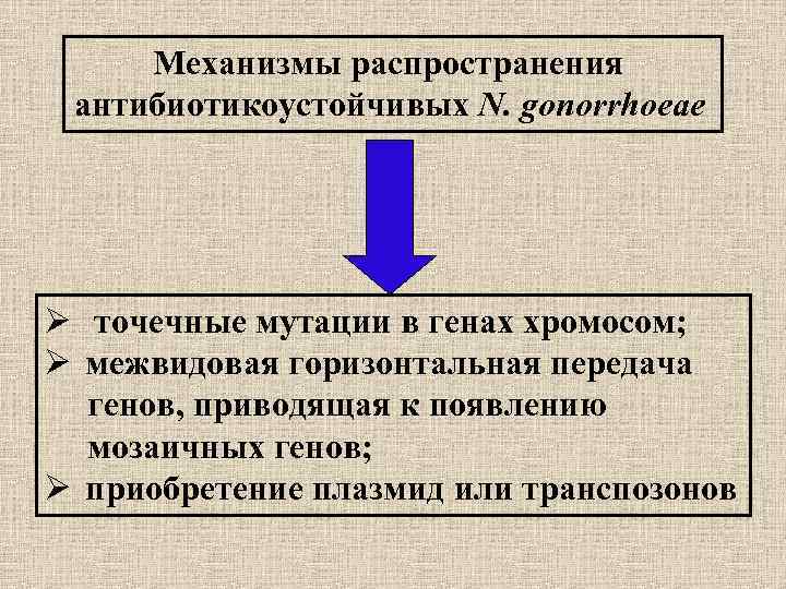 Механизмы распространения антибиотикоустойчивых N. gonorrhoeae Ø точечные мутации в генах хромосом; Ø межвидовая горизонтальная