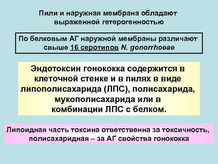 Пили и наружная мембрана обладают выраженной гетерогенностью По белковым АГ наружной мембраны различают свыше