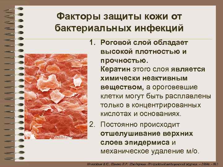 Факторы защиты кожи от бактериальных инфекций 1. Роговой слой обладает высокой плотностью и прочностью.