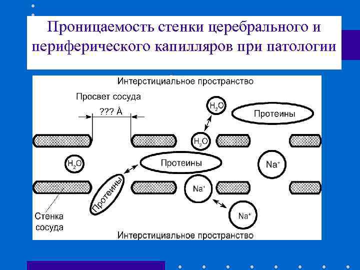 Проницаемость стенки церебрального и периферического капилляров при патологии ? ? ? Н 2 О