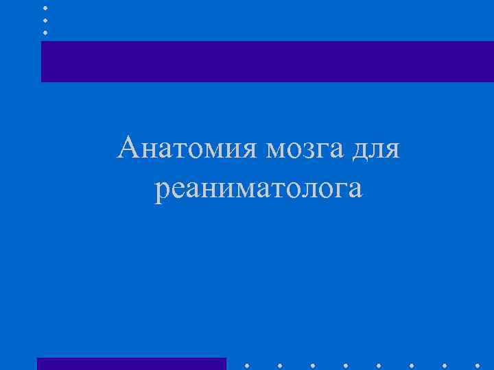 Анатомия мозга для реаниматолога 