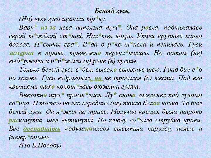 Белый гусь. (На) лугу гуси щипали тр*ву. Вдру* из-за леса наползла туч*. Она росла,