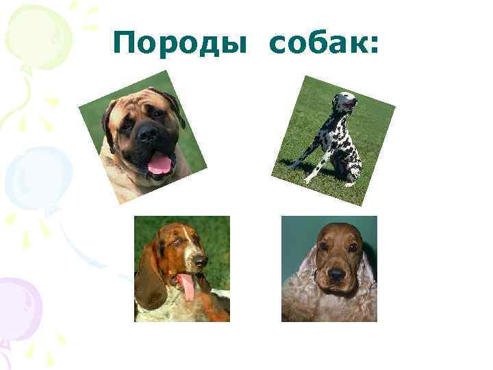 Породы собак: 
