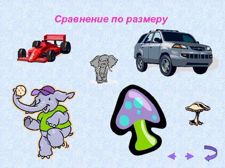 Сравнение по размеру 