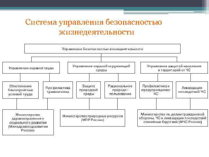 Управление безопасностью жизнедеятельности презентация