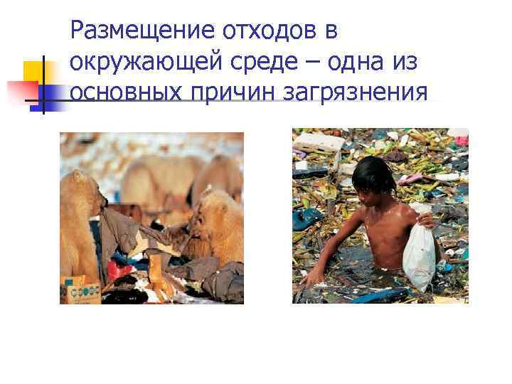 Размещение отходов в окружающей среде – одна из основных причин загрязнения 