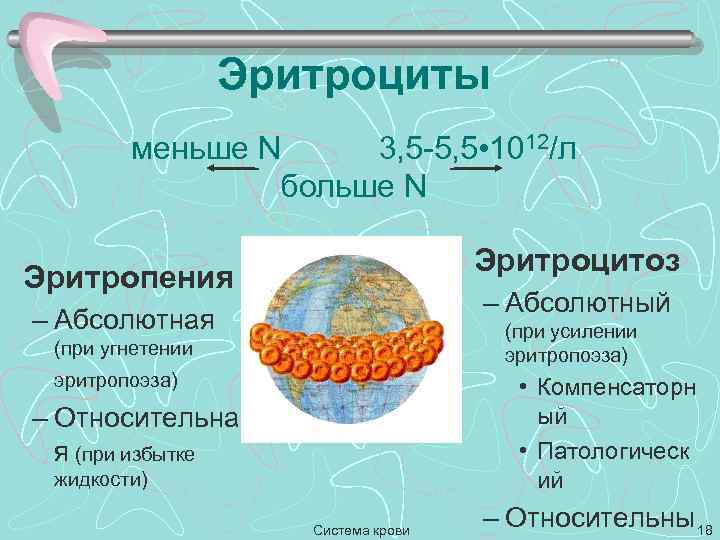 Эритроциты меньше N 3, 5 -5, 5 • 1012/л больше N Эритроцитоз Эритропения –