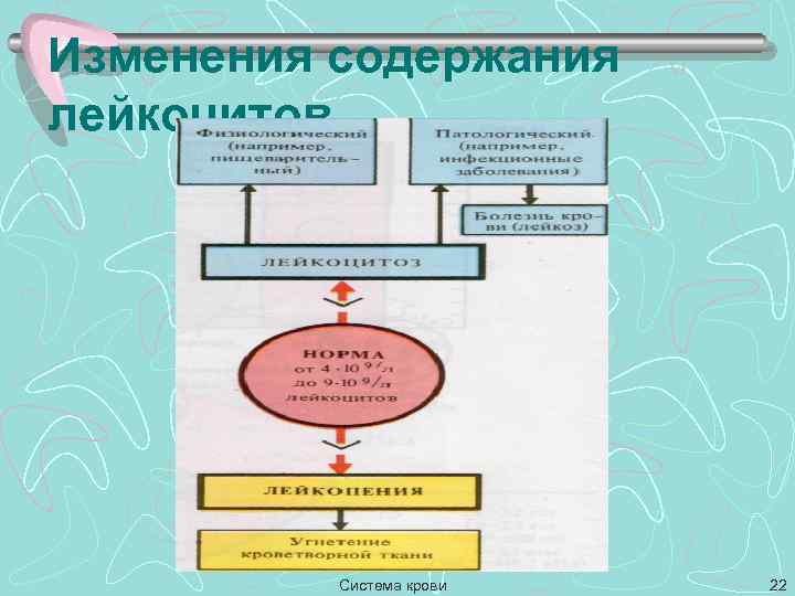 Изменения содержания лейкоцитов Система крови 22 