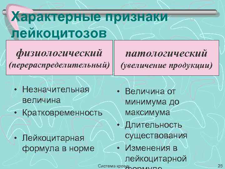 Характерные признаки лейкоцитозов физиологический патологический (перераспределительный) (увеличение продукции) • Незначительная величина • Кратковременность •